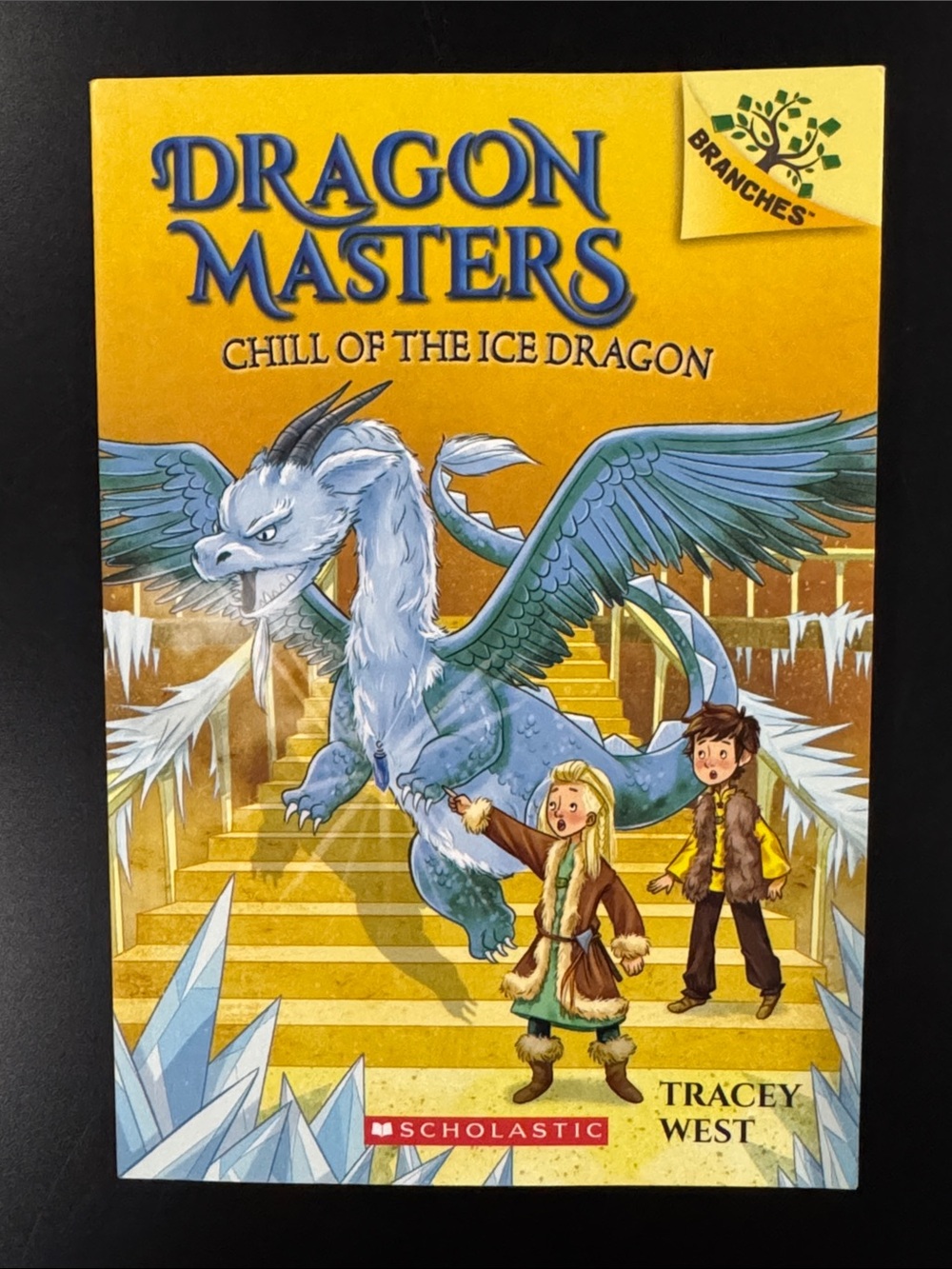 Dragon Masters #9: Chill of the Ice Dragon - Scholastic Paperback Novel